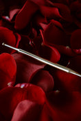 Load image into Gallery viewer, REFLEXOLOGY WAND