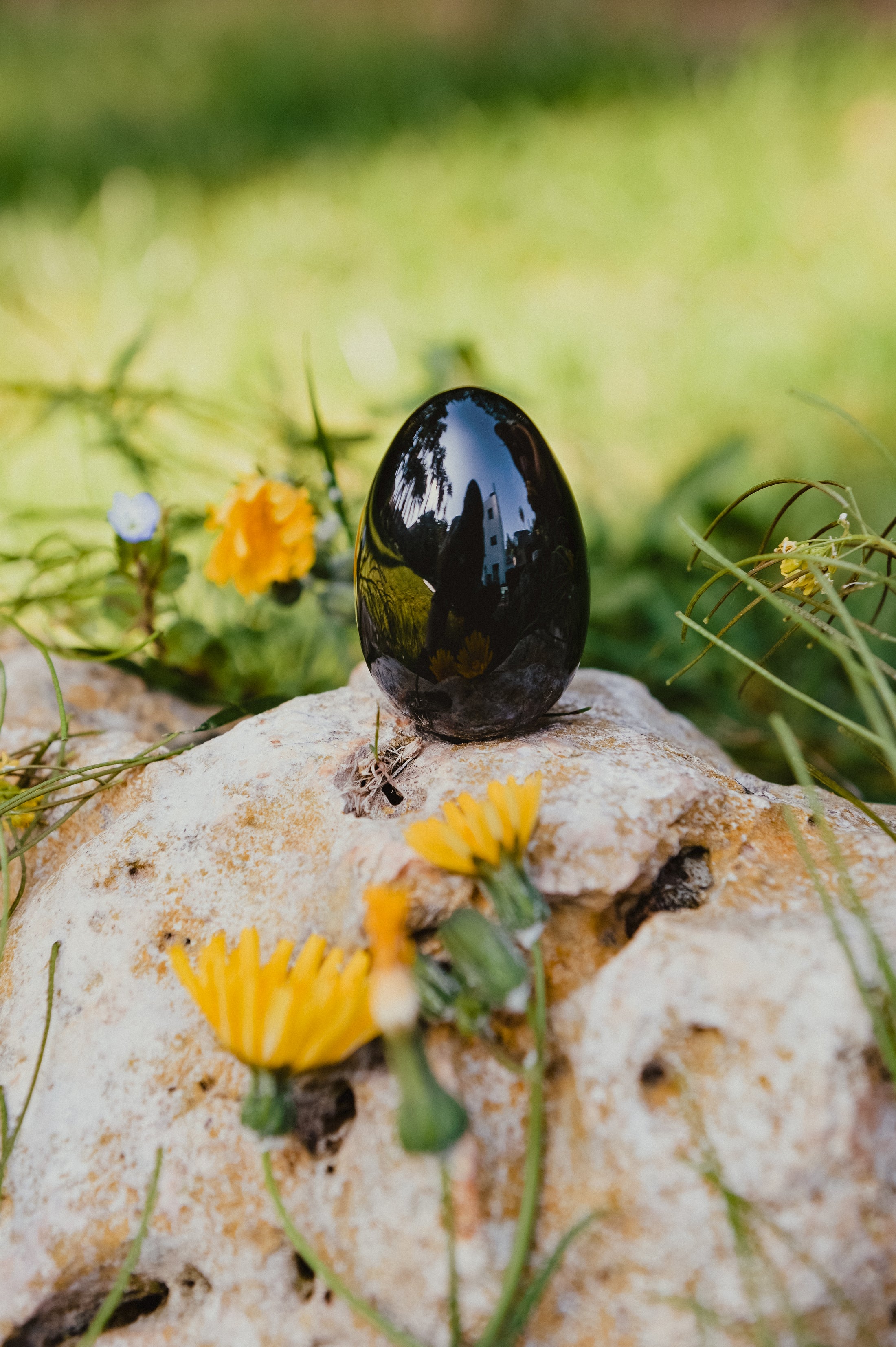 BLACK OBSIDIAN YONI EGG - GIA CERTIFIED