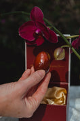 Load image into Gallery viewer, CARNELIAN YONI EGG - GIA CERTIFIED