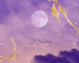 4 DIFFERENT WAYS IN WHICH YOUR CYCLE CAN ALIGN WITH THE MOON