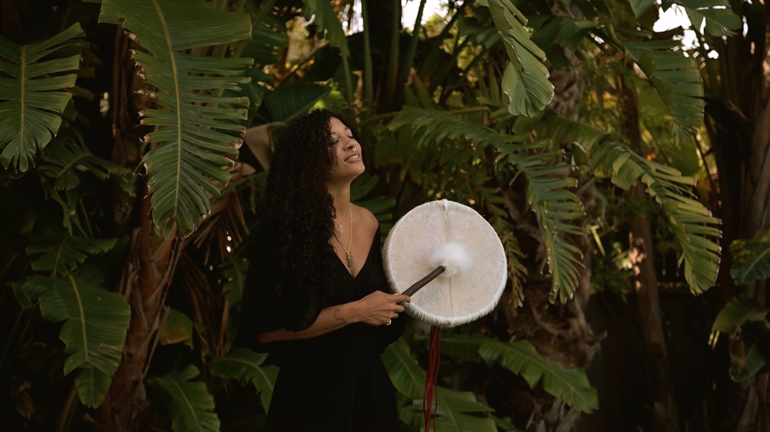 WE REMEMBER - Medicine Song