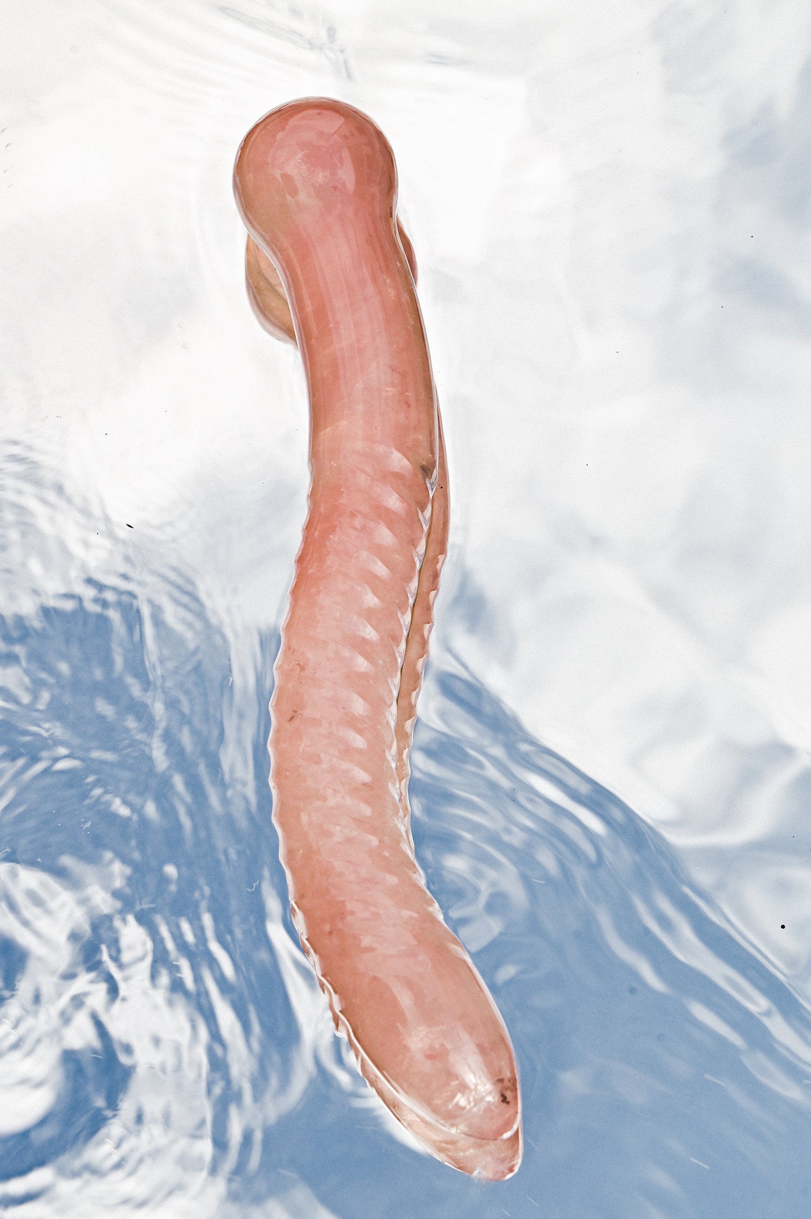 OPHIDIA™ ROSE QUARTZ WAND