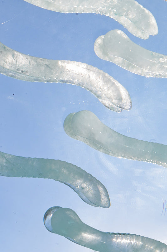 Close-up of clear, gel-like substances on a blue background